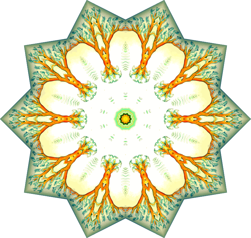 Bryozoa 8