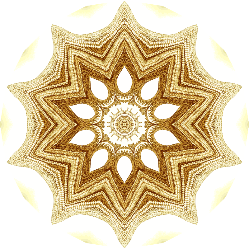 Crinoidea 10