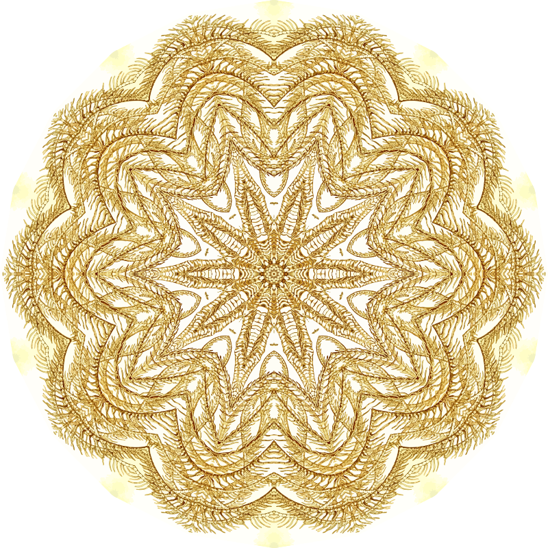 Crinoidea 6