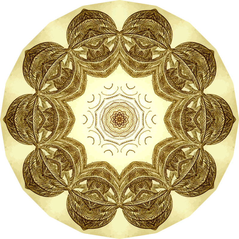 Crinoidea 17