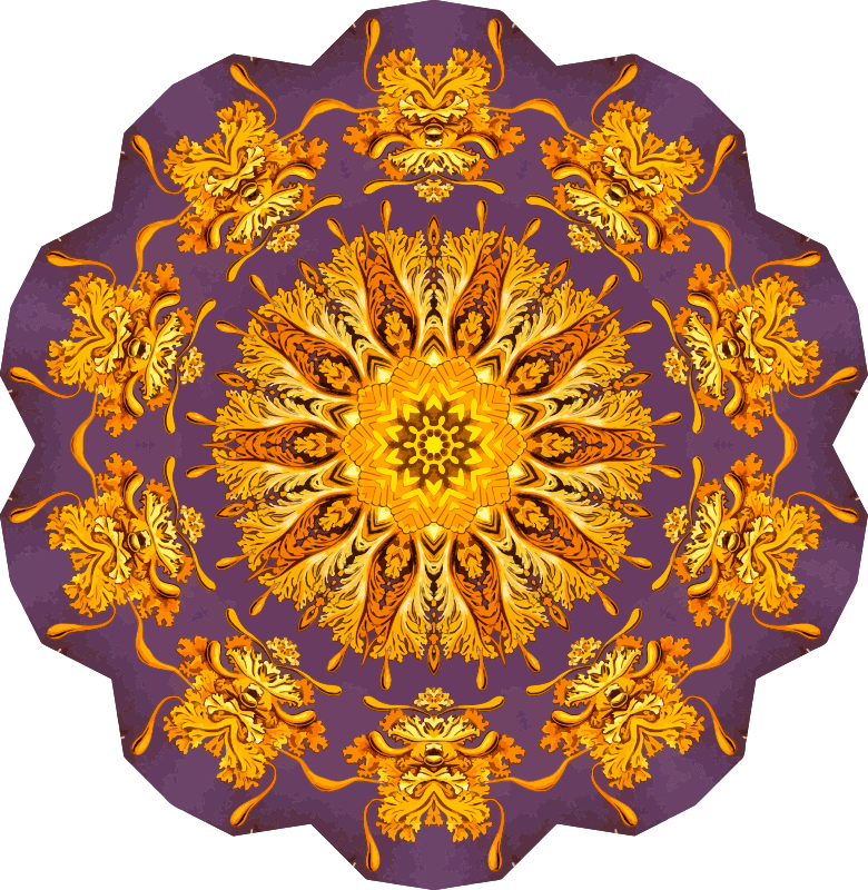 Discomedusae 22
