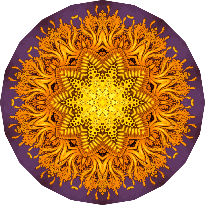 Discomedusae 39