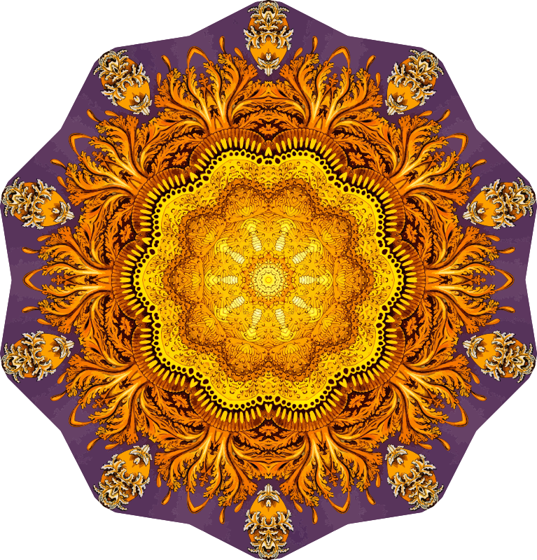Discomedusae 36