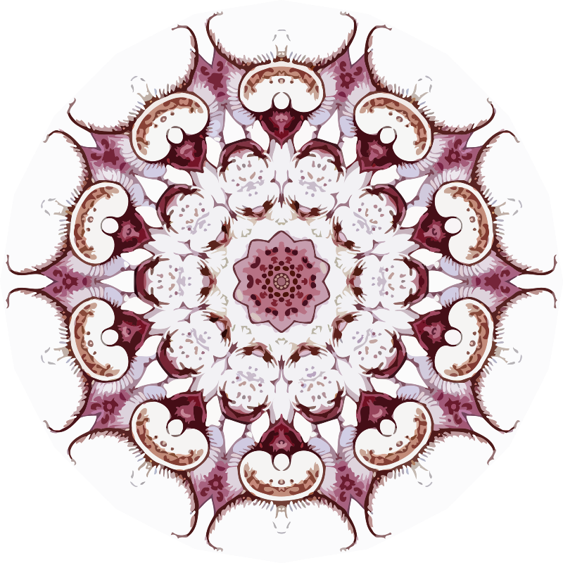 Ciliata 3