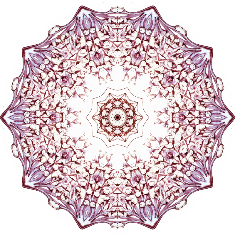 Ciliata 7