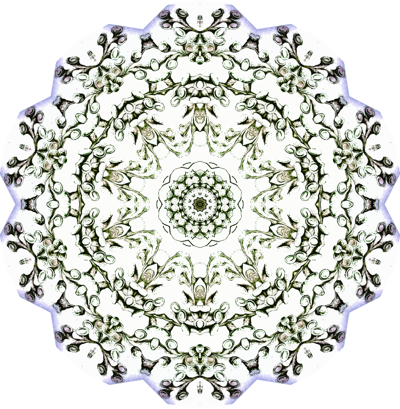 Ciliata 5