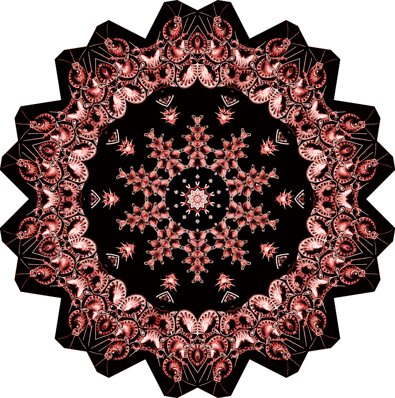 Bryozoa 23