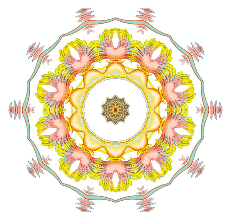 Nudibranchia 8