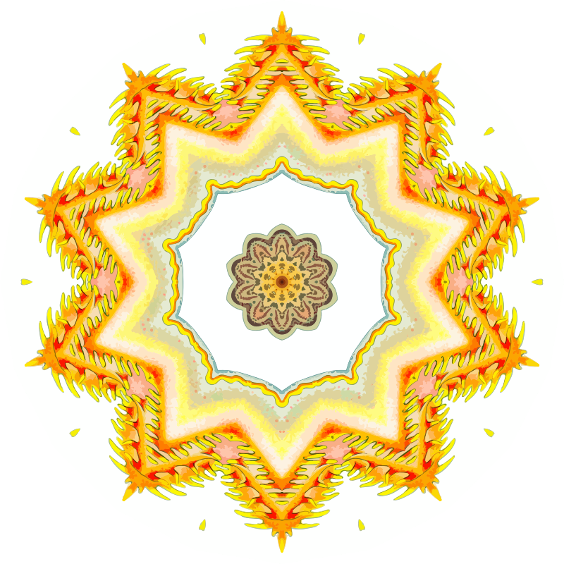 Nudibranchia 9