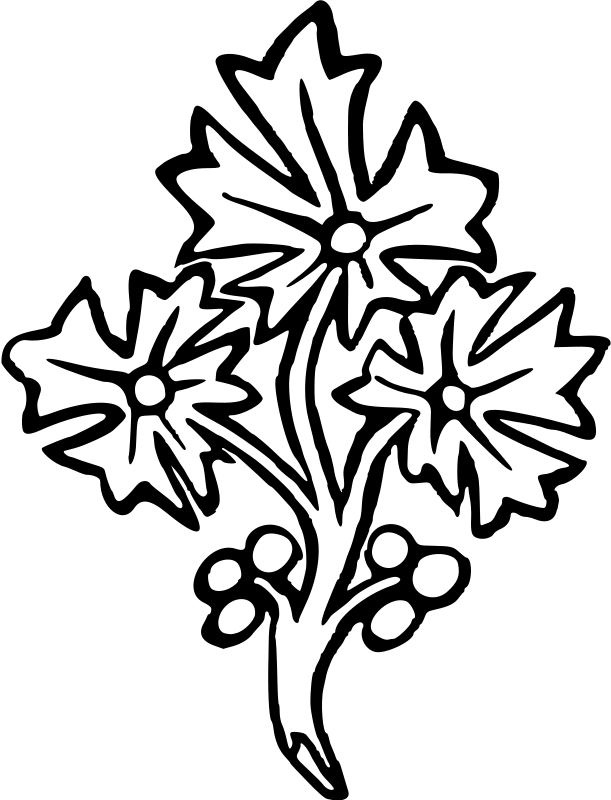 Flower 31