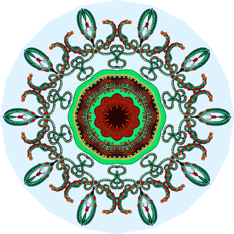 Trachomedusae 10
