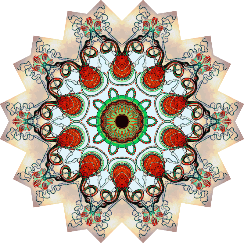 Trachomedusae 13