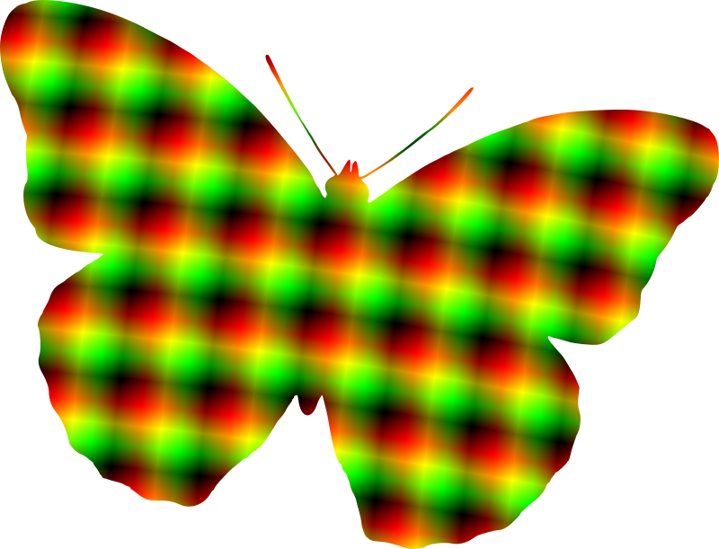 Patterned butterfly