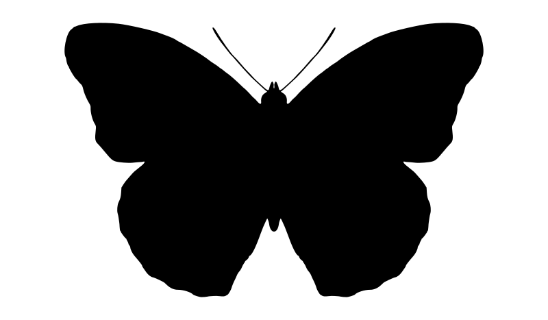 butterfly silhouette