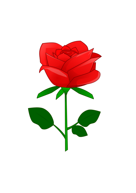 Red Rose