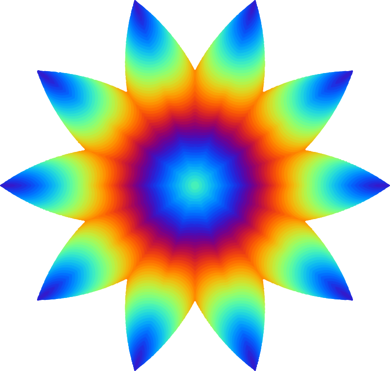 Colourful flower
