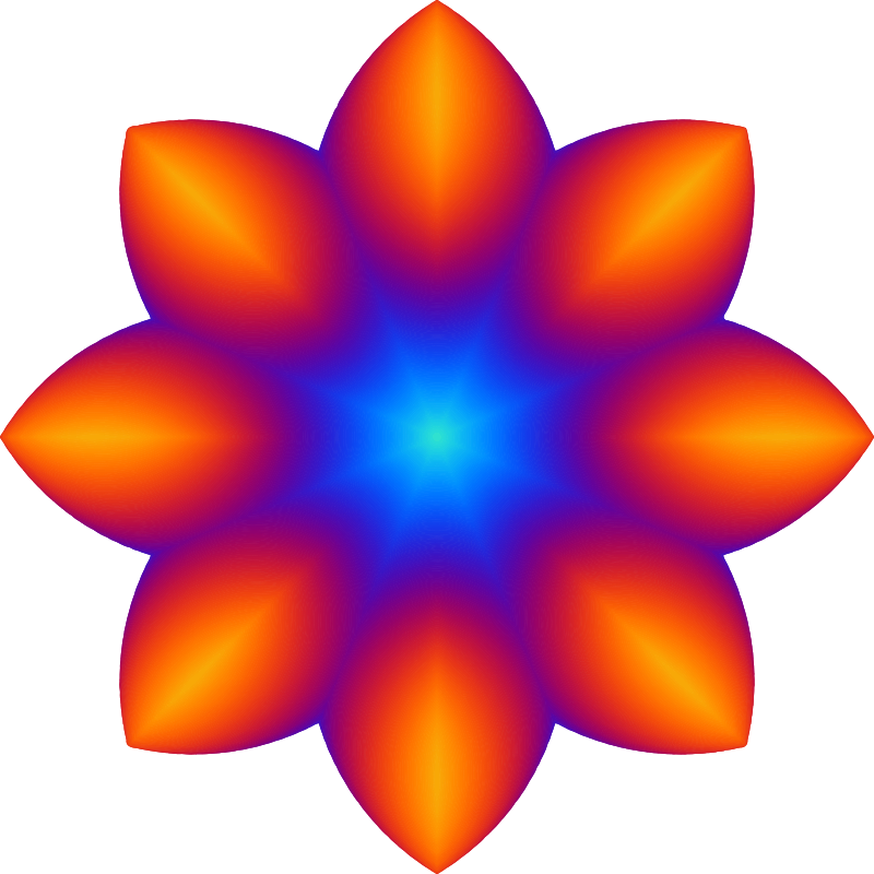 Colourful flower 2