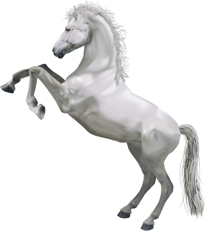 White Horse