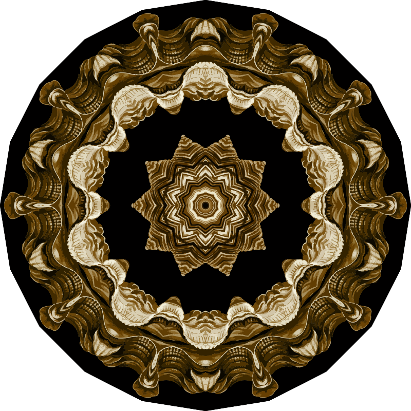 Acephala 1