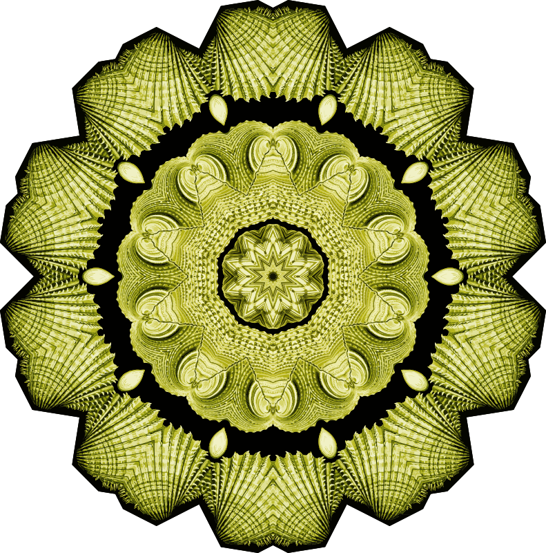 Acephala 3
