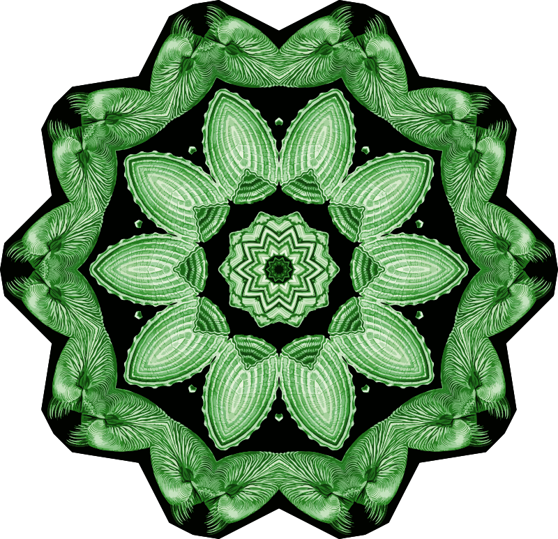 Acephala 7