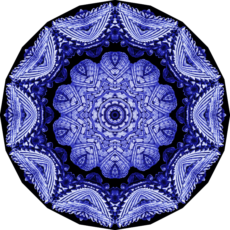 Acephala 9