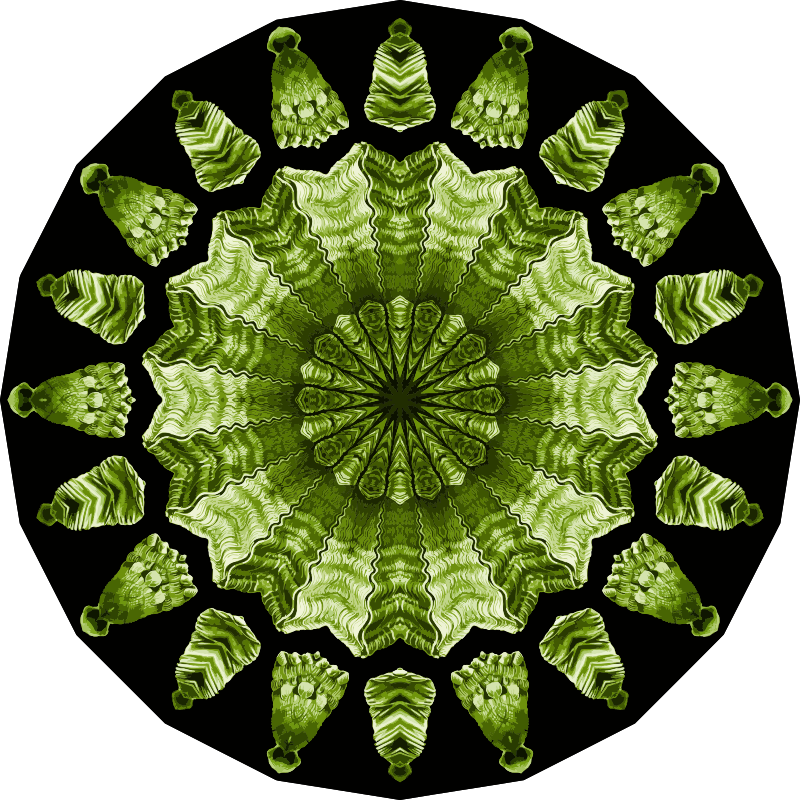 Acephala 12