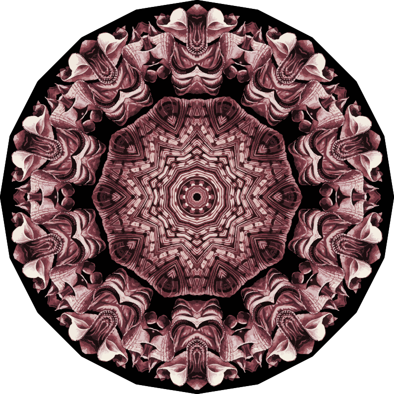 Acephala 15