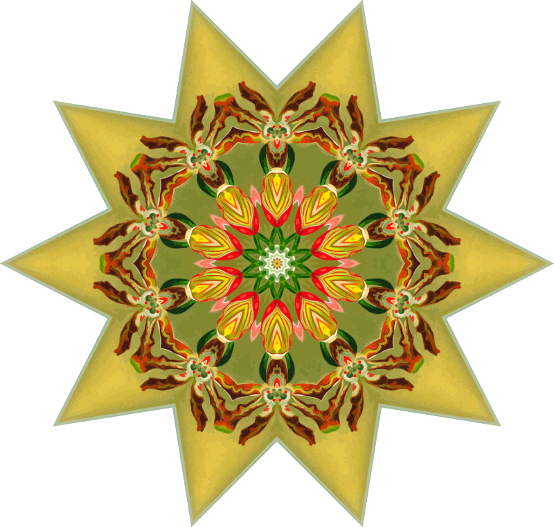 Orchidae 29