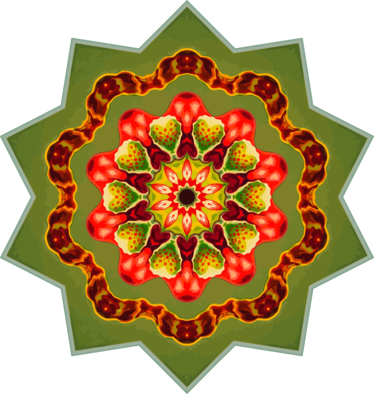 Orchidae 34