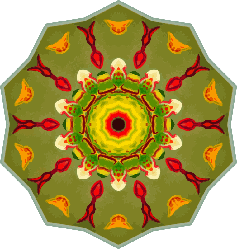 Orchidae 33