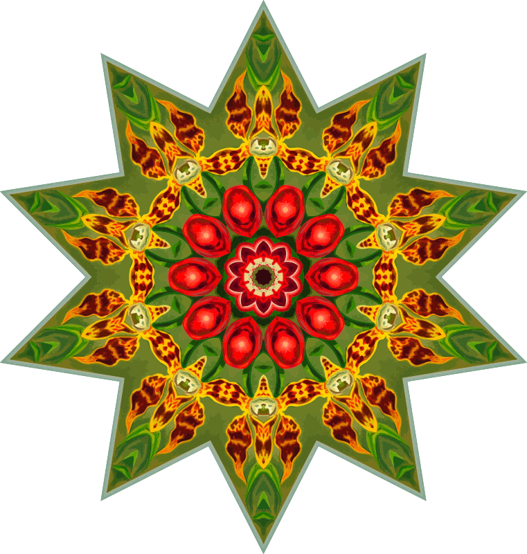 Orchidae 35