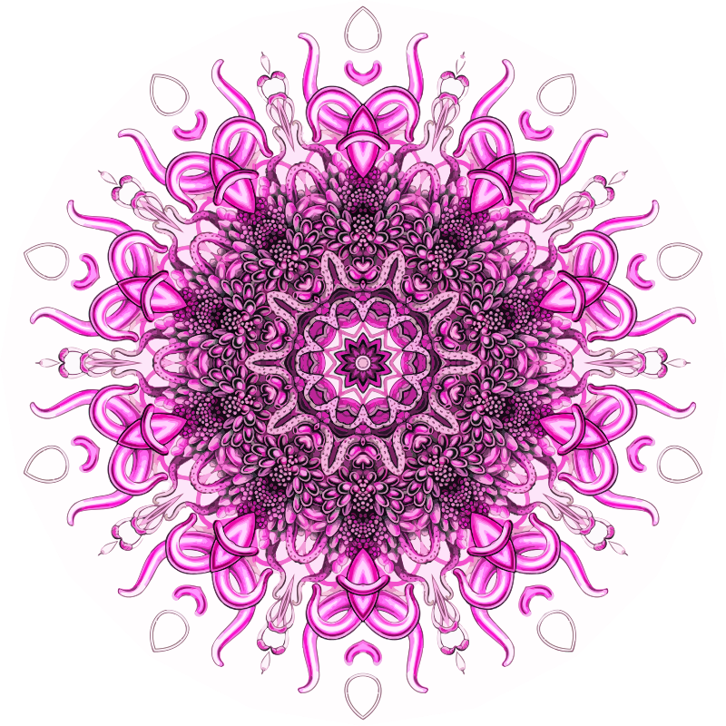 Siphonophorae 2
