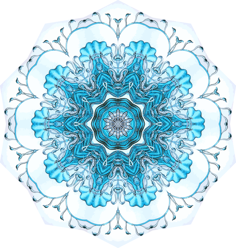 Siphonophorae 1