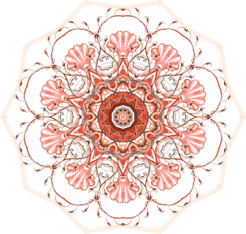Siphonophorae 9