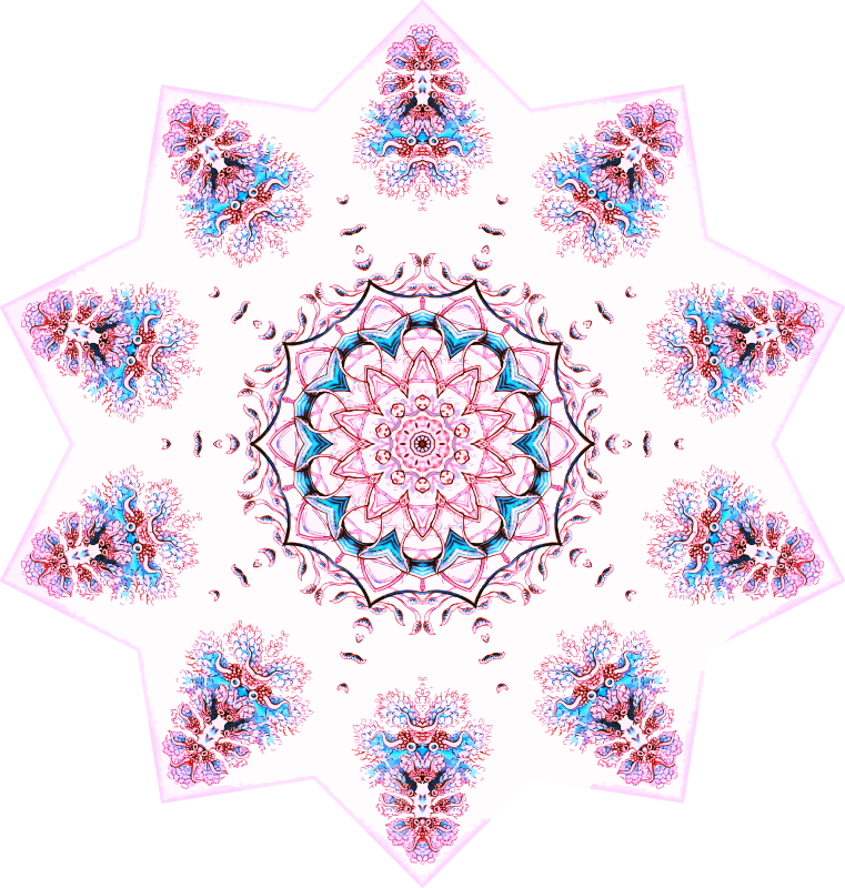 Siphonophorae 12
