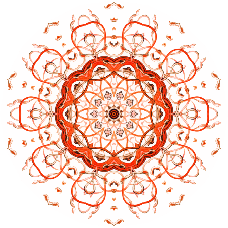 Siphonophorae 18