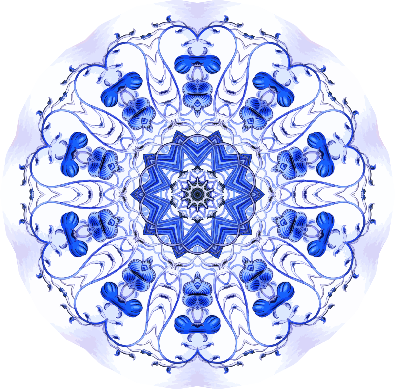 Siphonophorae 19