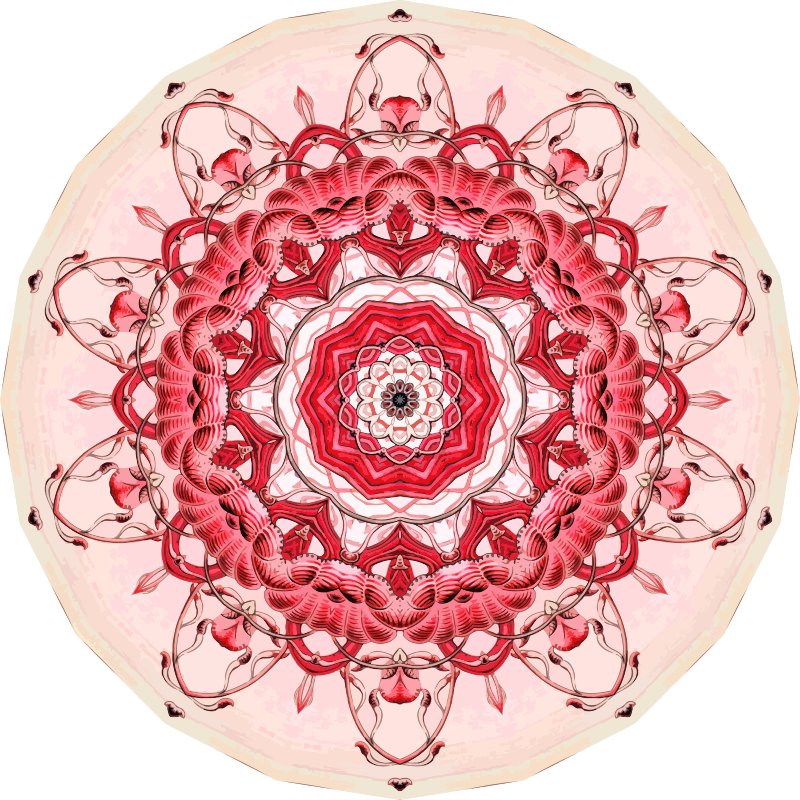 Siphonophorae 20