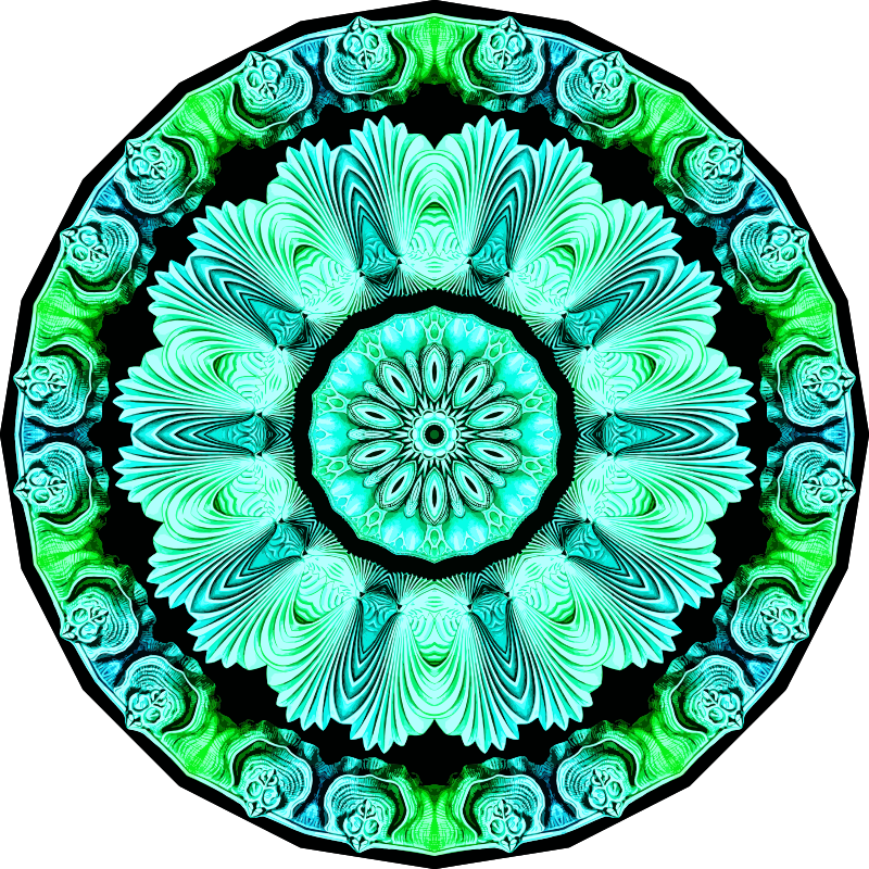 Spirobranchia 6