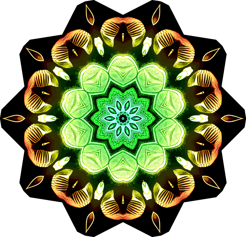 Spirobranchia 7