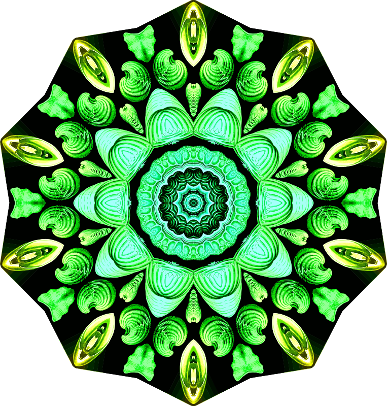 Spirobranchia 9