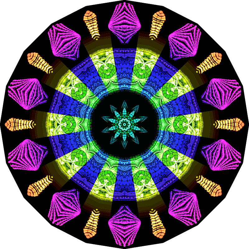 Spirobranchia 11