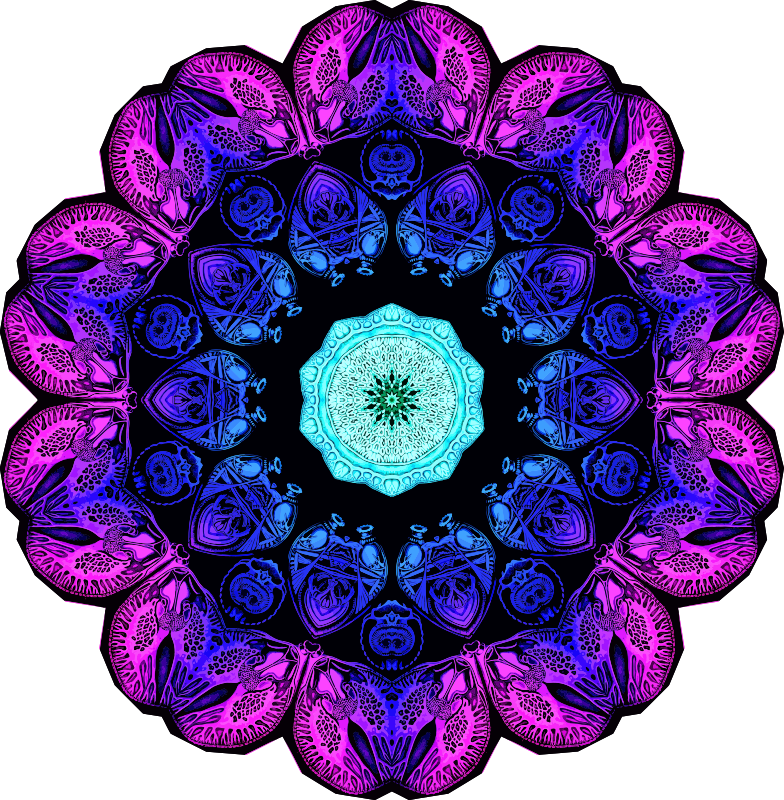 Spirobranchia 14