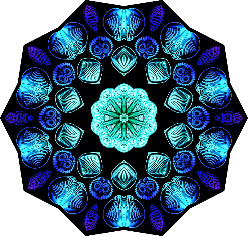 Spirobranchia 15