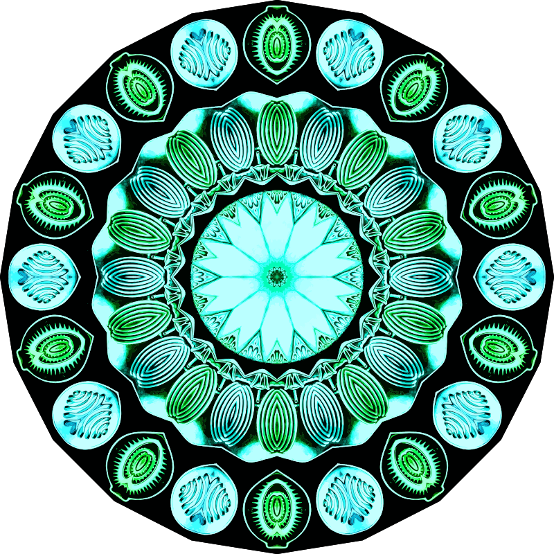 Spirobranchia 16