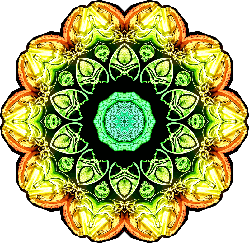 Spirobranchia 18