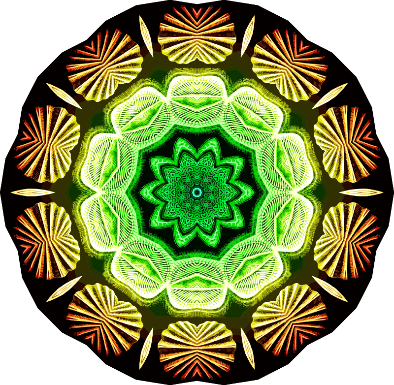 Spirobranchia 20
