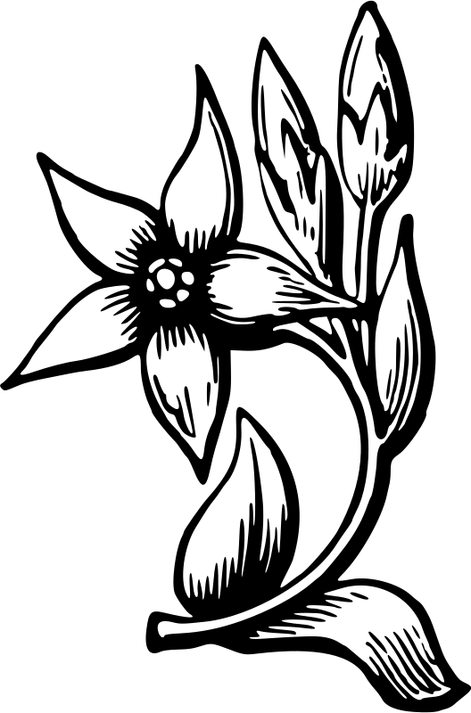 Flower 34