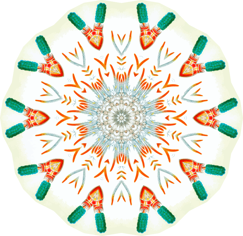 Copepoda 5